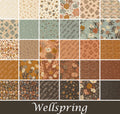Moda Wellspring Charm Pack
