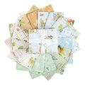 PREORDER Riley Blake Peter Rabbit and Benjamin Bunny Fat Quarter Bundle