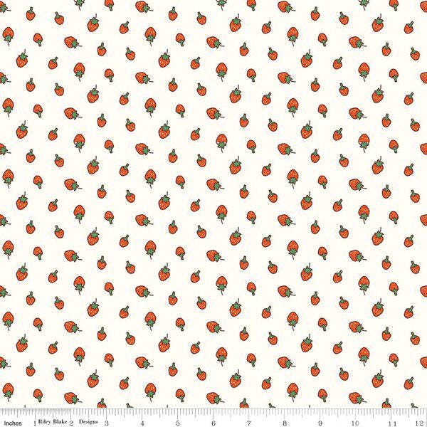 PREORDER Riley Blake Minki Kim Serendipity 2 Mini Fat Quarter Bundle - Easter fabric - Spring Fat Quarters -