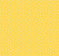 PREORDER Riley Blake Summer’s in Town Daisies Yellow