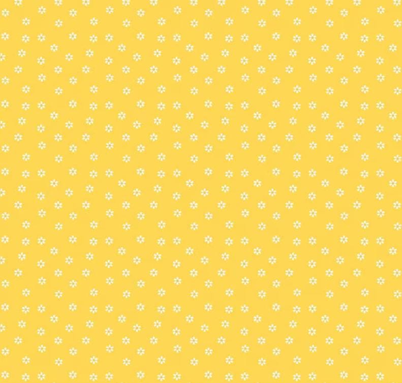 PREORDER Riley Blake Summer’s in Town Daisies Yellow